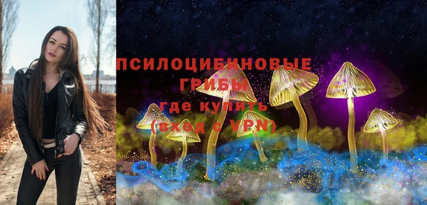 гашиш Сосновый Бор
