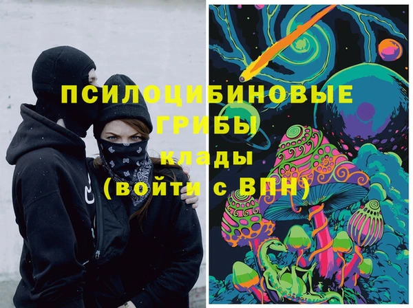 мдпв Сосновка