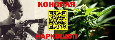 прущие грибы Гай