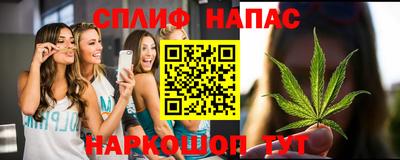 сатива Берёзовский