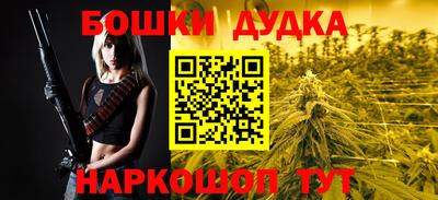 МДПВ Гатчина