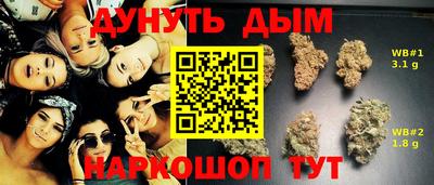 МДПВ Гатчина