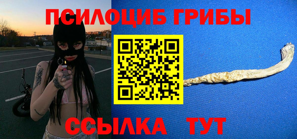 Галлюциногенные грибы GOLDEN TEACHER Ивантеевка