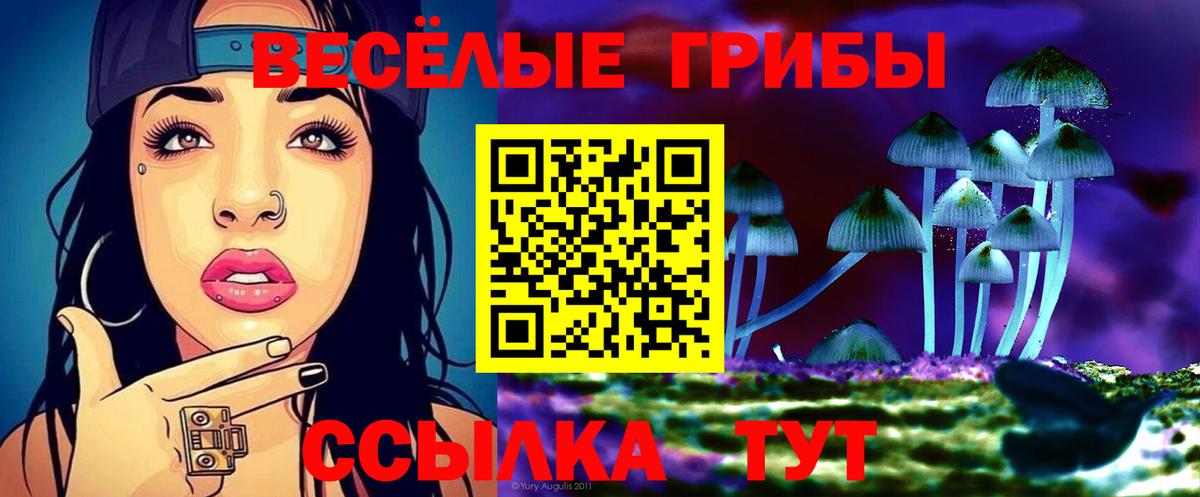 Галлюциногенные грибы GOLDEN TEACHER  Вход с VPN  Ивантеевка 